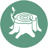 07-korchovka.png